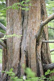 《往日不再》编剧曾为续作积极准备 包括剧本地图概念图